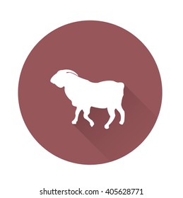 Billy Goat domestic animal long shadow 