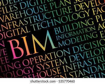 BIM - building information modeling word cloud, business concept