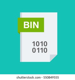 Bin File format and Extension 
