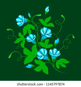 Bindweed with blue flowers. Vector illustration.