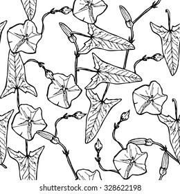 bindweed floral seamless pattern branch with leaves buds and flowers contours isolated on white background hand-drawn. Vector