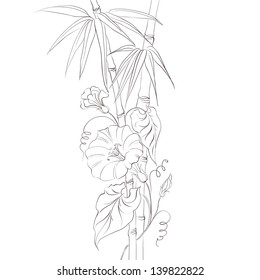 Bindweed flower and bamboo isolated over white. Vector illustration.