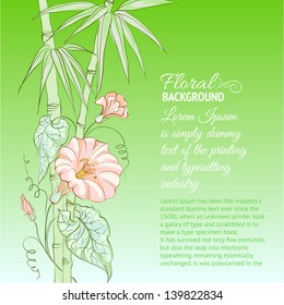 Bindweed flower and bamboo on blue background. Vector illustration.