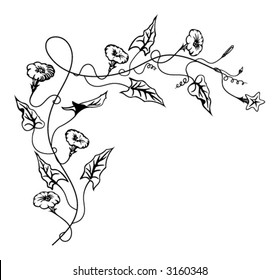 Bindweed flowers ornament-vector illustration.