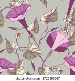 Bindweed Flowers Seamless Pattern. Hand Drawn Floral Background.