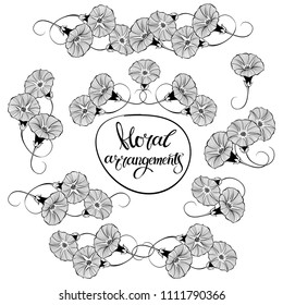 Bindweed. Isolated arrangements, eight variants. Black and white vector hand-drawn illustrations.