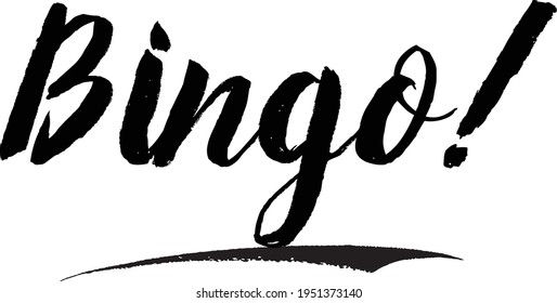Bingo! Bold Calligraphy Text on White Background