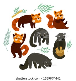 Binturong y el panda rojo. Animales cortos en el zoológico. Plantas tropicales