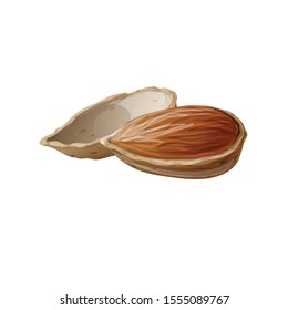 Bio almonds icon. Cartoon of bio almonds vector icon for web design isolated on white background