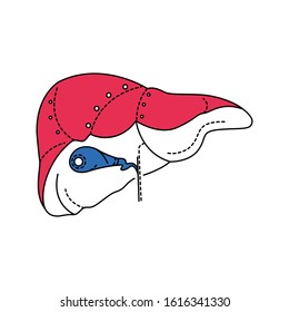 Bio Artificial Liver Color Line Icon. Supportive Device For An Individual Who Is Suffering From Acute Liver Failure. Pictogram For Web Page, Mobile App, Promo. Editable Stroke.