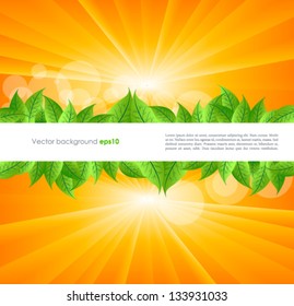 Bio background