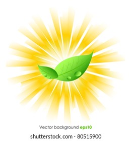 Bio background