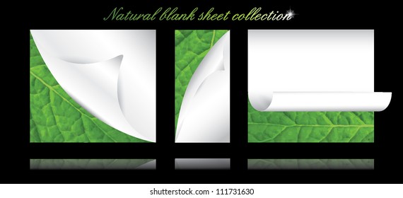 bio blank paper natural sheets