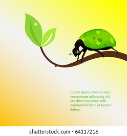 Bio concept with green ladybird and leaf. vector illustration