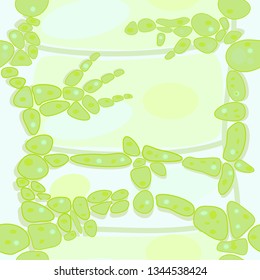 Bio design algae cells  seamless pattern