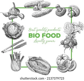 Bio food, vegetables frame. Hand-drawn vintage sketchy illustration.