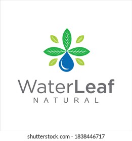 Bio green leaf water drop logo Design Vector Stock. pure Natural Healthy water leaf logo concept