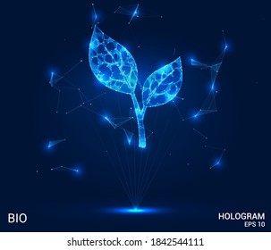 Bio hologram. Bio petals made up of polygons, triangles, points, and lines. The plant is low, the structure of the compound. The technology concept.