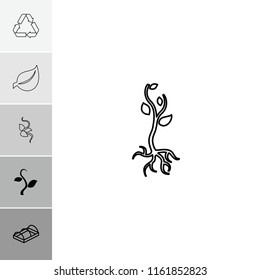 Bio icon. collection of 6 bio filled and outline icons such as greenohuse, plant, leaf, sprout. editable bio icons for web and mobile.