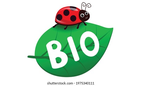 Bio icon. Vector illustration. Leaf with ladybug. Clipping path for an organic natural product.