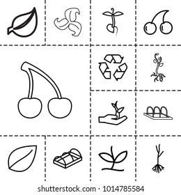 Bio icons. set of 13 editable outline bio icons such as leaf, cherry, sprout, greenohuse, recycle, plant