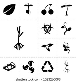 Bio Icons. Set Of 13 Editable Filled Bio Icons Such As Plant, Leaf, Cherry, Sprout, Greenohuse, Hazzard