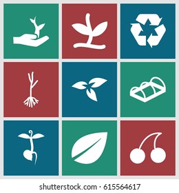 Bio icons set. set of 9 bio filled icons such as plant, leaf, Cherry, sprout, greenohuse, recycle