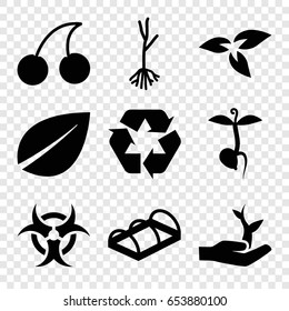 Bio icons set. set of 9 bio filled icons such as plant, leaf, cherry, sprout, greenohuse, recycle, plant on hand