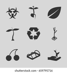 Bio icons set. set of 9 bio filled icons such as plant, leaf, cherry, sprout, greenohuse, recycle, plant on hand