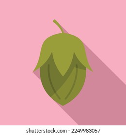 Bio jojoba icon flat vector. Plant seed. Oil herb