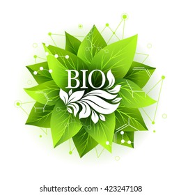Bio label. Vector badge with green leaves and abstract design elements. Sticker for organic, natural, healthy products
