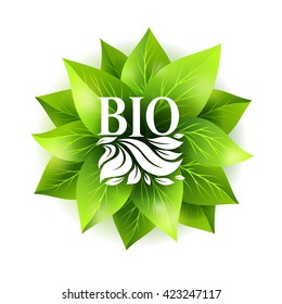 Bio label. Vector badge with green leaves and decorative emblem. Sticker for natural organic products.