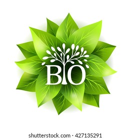 Bio label. Vector badge with green leaves and decorative emblem. Sticker for natural organic products.