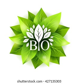 Bio label. Vector badge with green leaves and decorative emblem. Sticker for natural organic products.