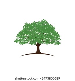 Bio leaf Icon Illustration design template