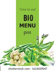 Bio Menu cover with various vegetables. Asparagus, beans, onion, spinach, cabbage, pepper, cauliflower. Watercolor vector