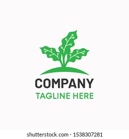 Bio nature technology logo template