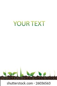 bio paper