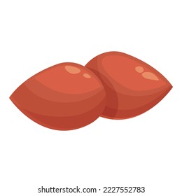 Bio peanut icon cartoon vector. Food nut. Candy drop