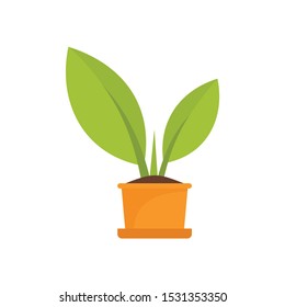 Bio plant pot icon. Flat illustration of bio plant pot vector icon for web design