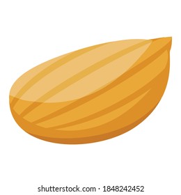 Icono de semilla de girasol biológico. Isométrico de un ícono de vector de semillas de girasol biológico para diseño web aislado en fondo blanco