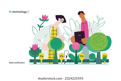 Bio Technology, Seed Modification -modern flat vector concept illustration of scientists analysing genetic modificated variants of a plant. Metaphor of direct impact of GMO on vegetation