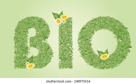 BIO - text decorated with and leaves, vector illustration