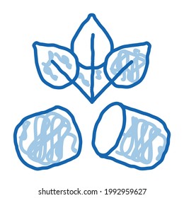 Los suplementos de biocapsule esbozan el vector de icono. Señal de arte de la línea de doodle azul dibujada a mano. ilustración de símbolo aislado