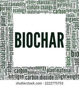 Biochar word cloud conceptual design isolated on white background.