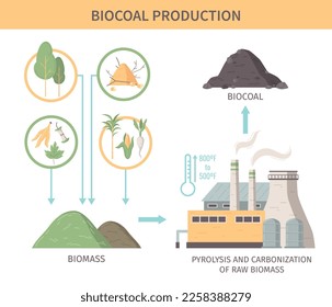 Biocoal production infographics illustration demonstrated sources of raw biomass for pyrolysis and carbonization processing flat vector illustration