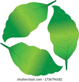 Biodegradable recyclable plastic free label vector icon. Eco safe bio recyclable and degradable package stamp logo