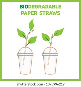 Biodegradable recycled plastic cups and cardboard straws with green eco-friendly leaves. Flat modern style. 
Illustration about the protection of nature and the environment from pollution. 