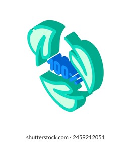 biodegradable waste sorting isometric icon vector. biodegradable waste sorting sign. isolated symbol illustration