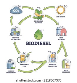 Explicación del ciclo de vida del combustible de biodiesel con diagrama de esquema de todas las etapas de uso. Producción de gas ecológico renovable educativo etiquetada mediante el refinamiento de cultivos ilustrados vectores. Energía verde alternativa.